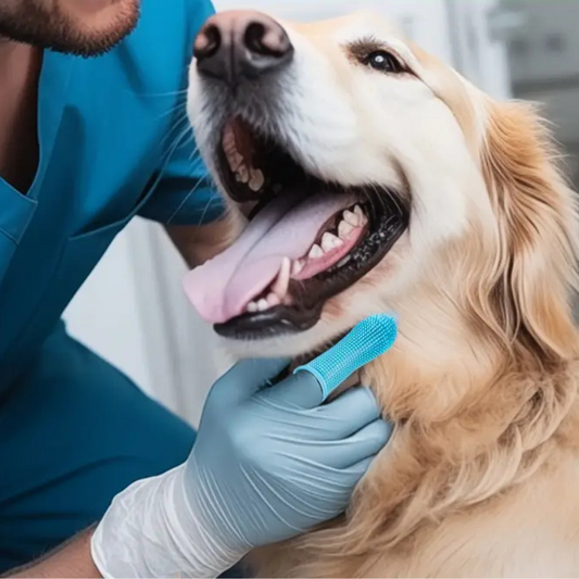 Pet’s Teeth Cleaning Brush