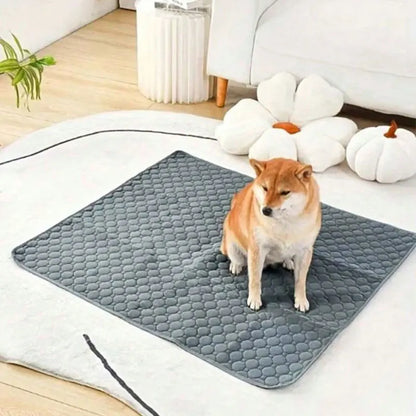 Shophively™ Washable Pad – Waterproof Dog Mat