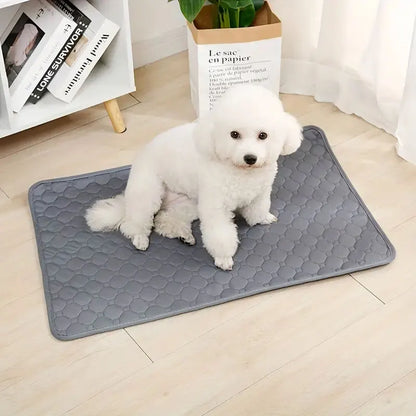 Shophively™ Washable Pad – Waterproof Dog Mat