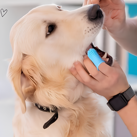 Shophively™ Soft Brush – Silicone Tooth Cleaner