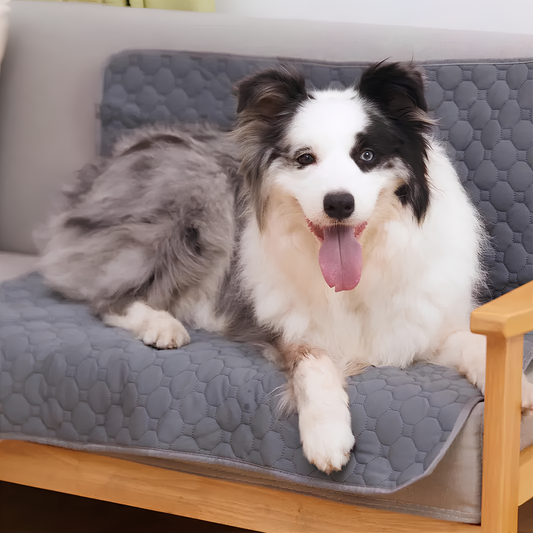 Shophively™ Washable Pad – Waterproof Dog Mat